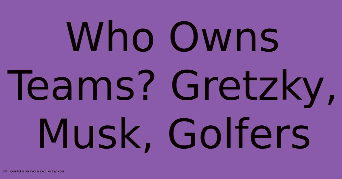 Who Owns Teams? Gretzky, Musk, Golfers