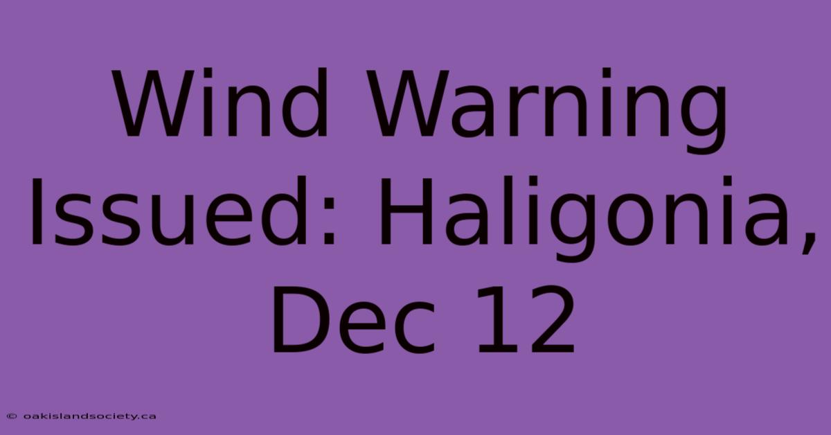 Wind Warning Issued: Haligonia, Dec 12