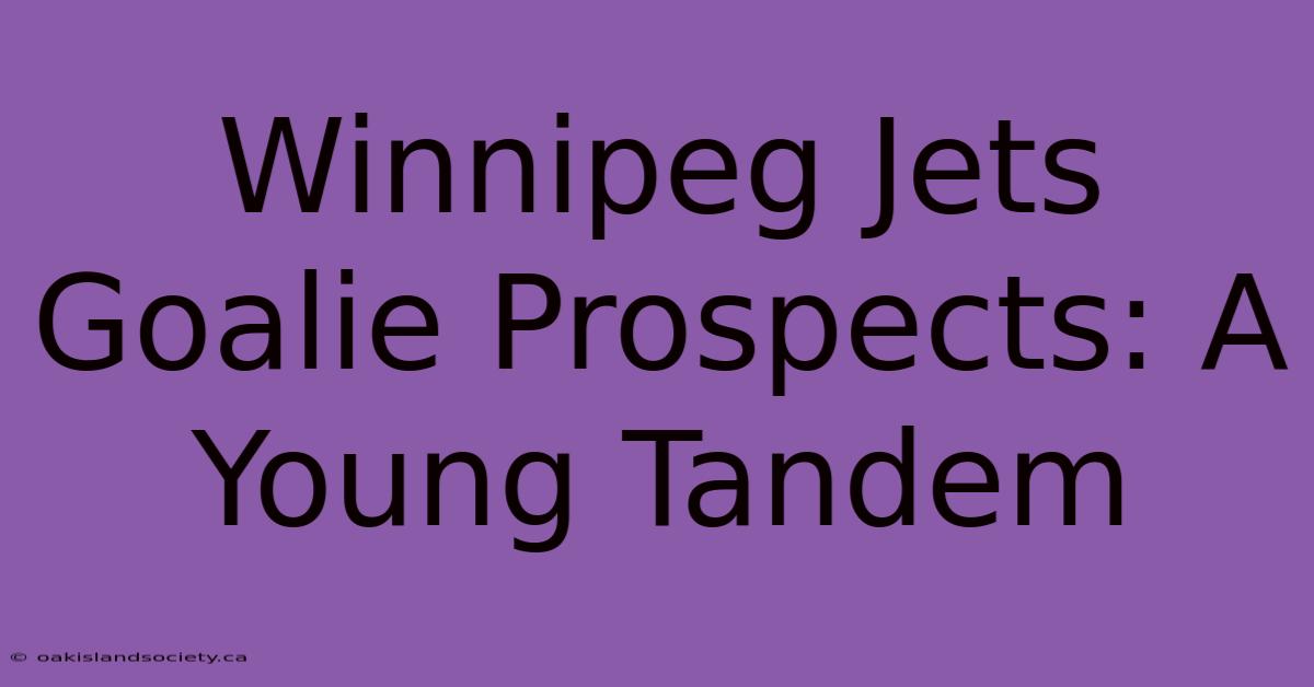 Winnipeg Jets Goalie Prospects: A Young Tandem