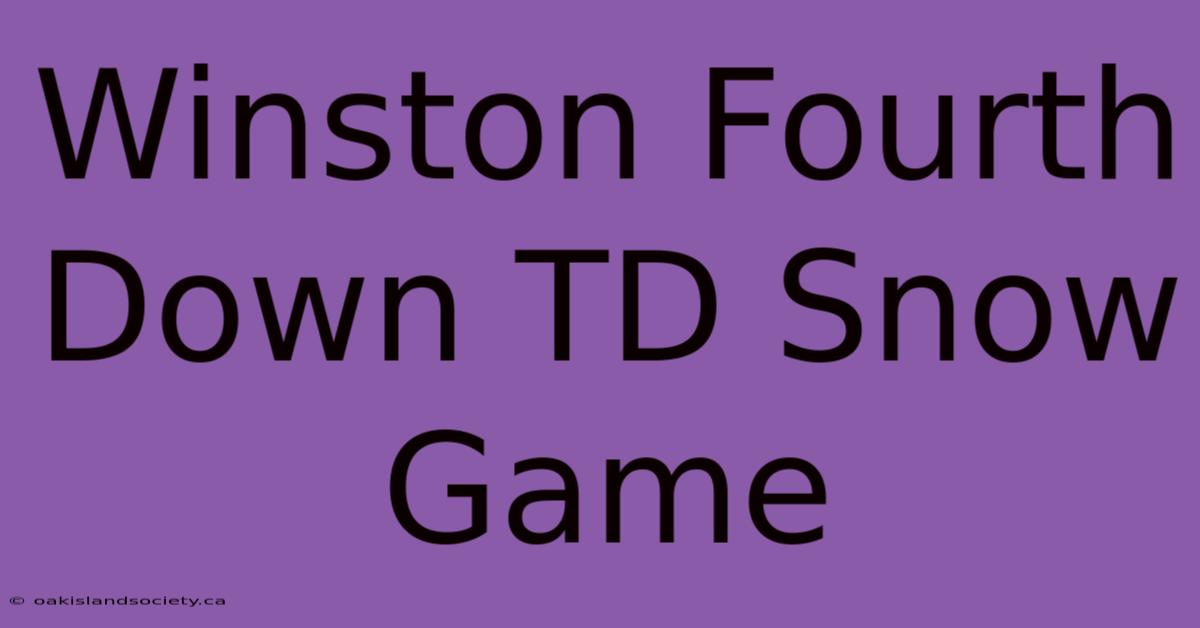 Winston Fourth Down TD Snow Game