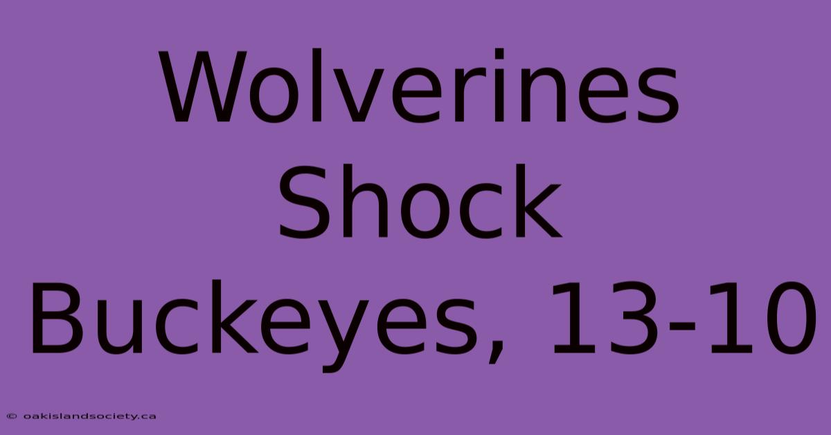 Wolverines Shock Buckeyes, 13-10