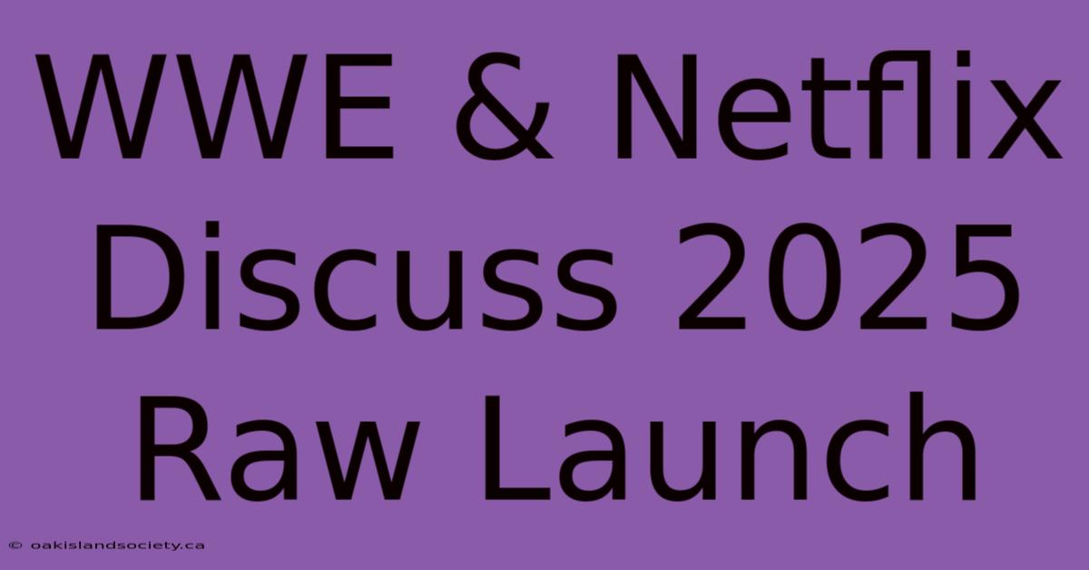 WWE & Netflix Discuss 2025 Raw Launch