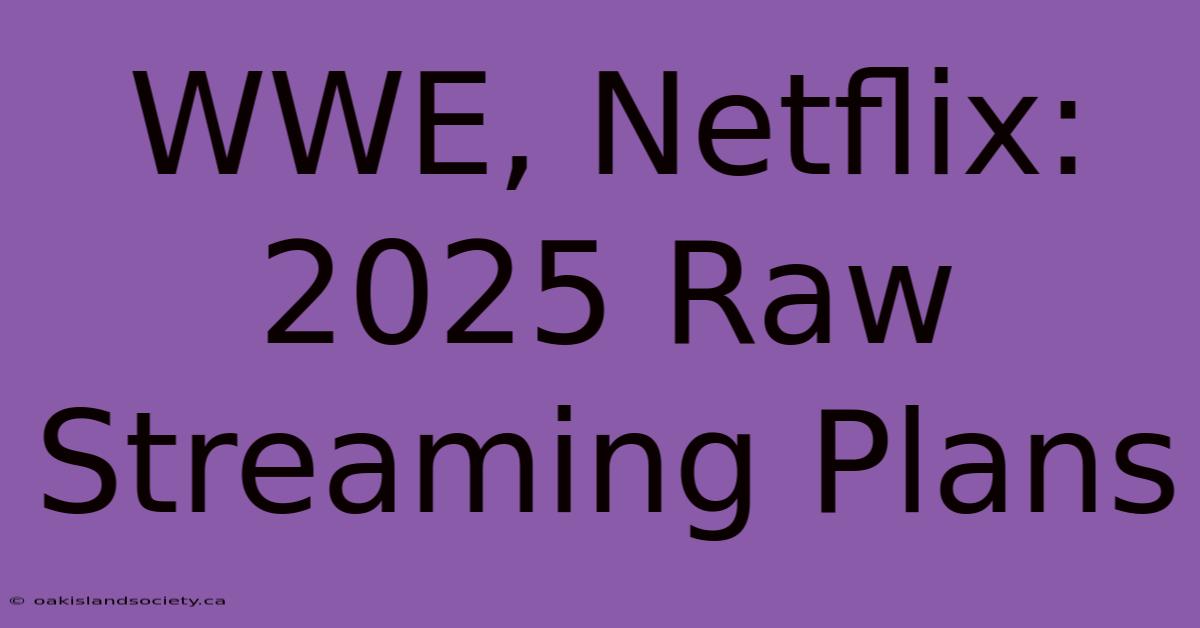 WWE, Netflix: 2025 Raw Streaming Plans