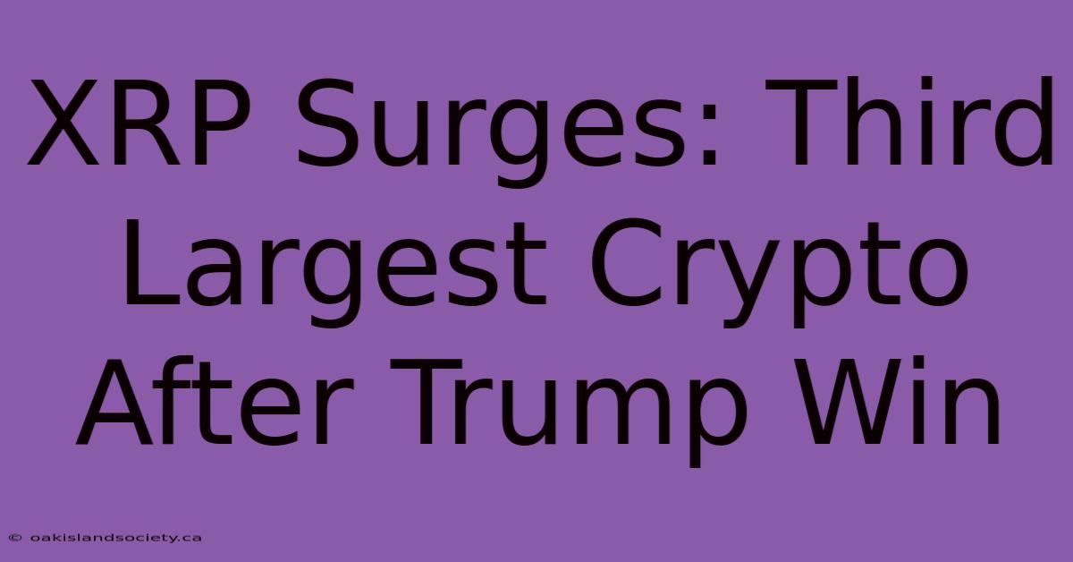 XRP Surges: Third Largest Crypto After Trump Win