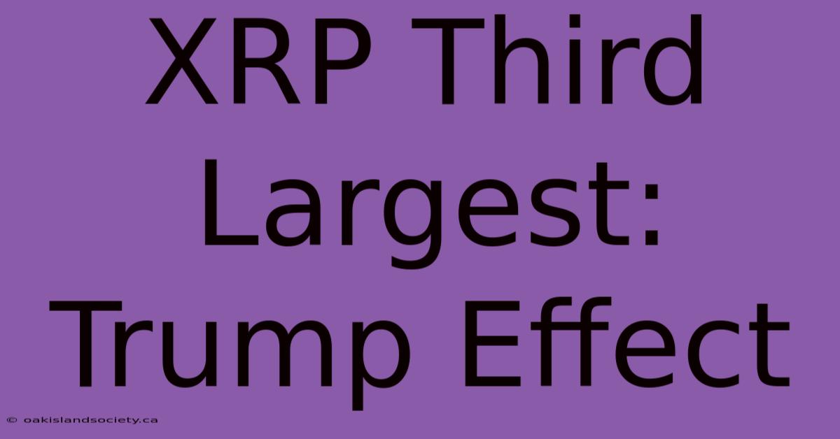 XRP Third Largest: Trump Effect