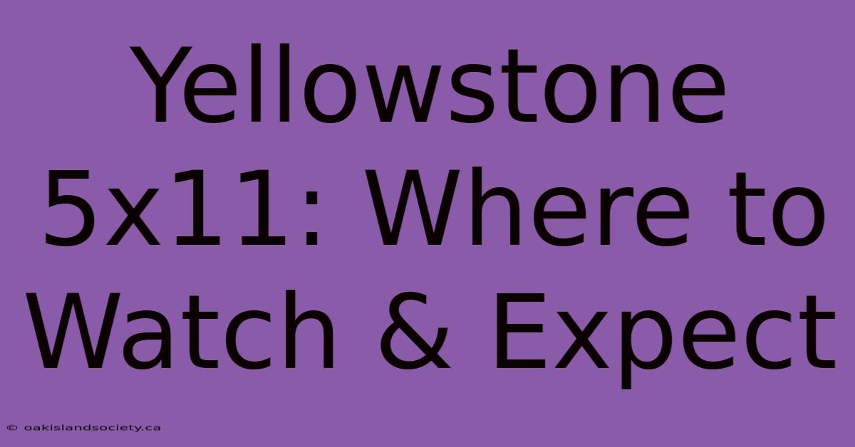 Yellowstone 5x11: Where To Watch & Expect