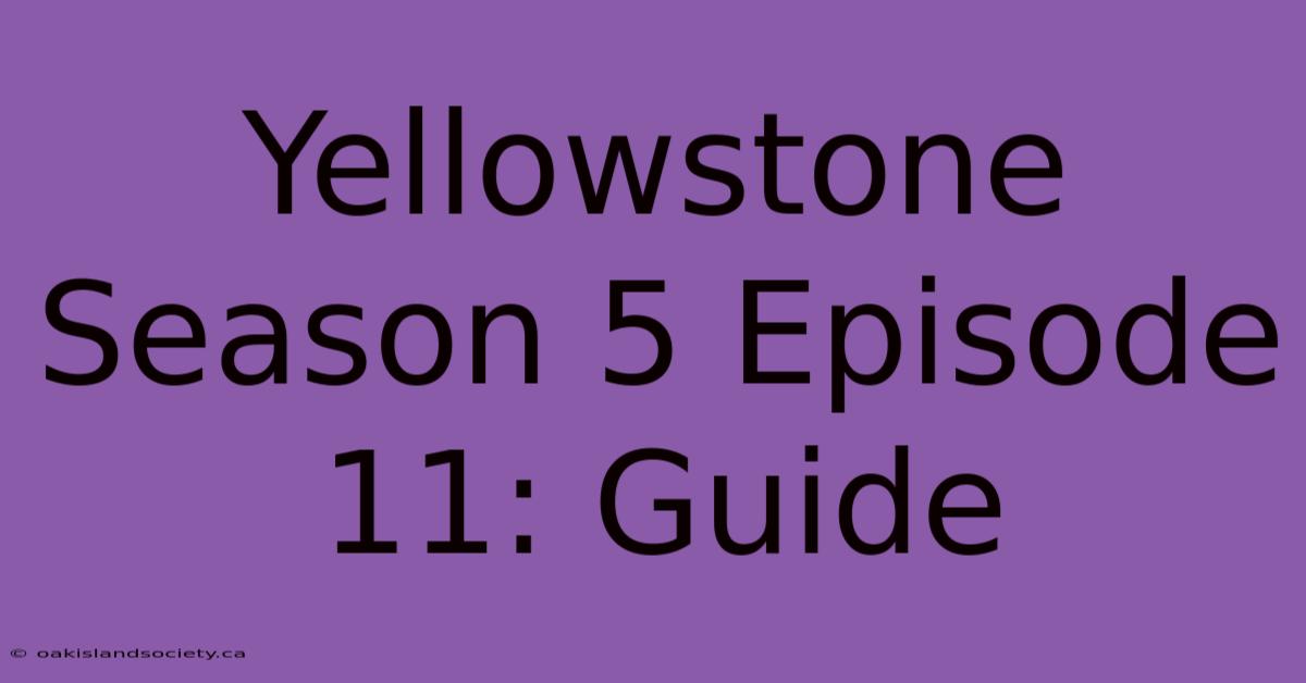 Yellowstone Season 5 Episode 11: Guide