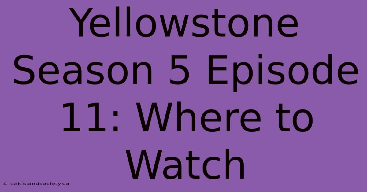 Yellowstone Season 5 Episode 11: Where To Watch