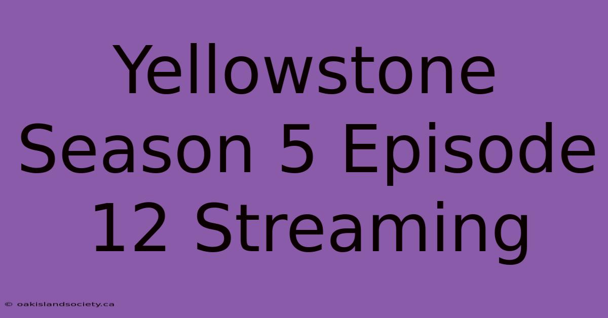 Yellowstone Season 5 Episode 12 Streaming