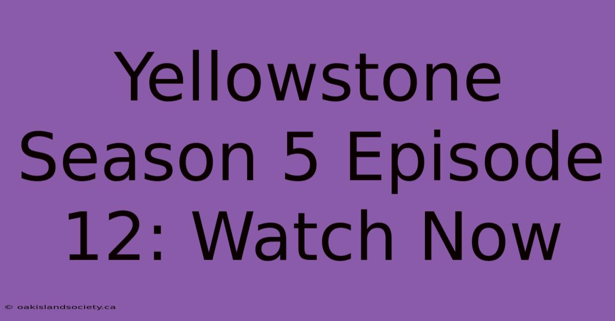 Yellowstone Season 5 Episode 12: Watch Now