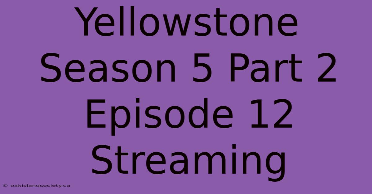 Yellowstone Season 5 Part 2 Episode 12 Streaming