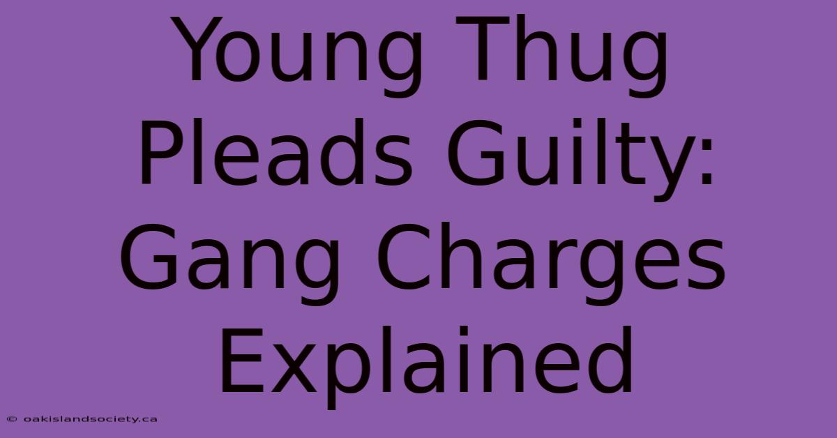 Young Thug Pleads Guilty: Gang Charges Explained