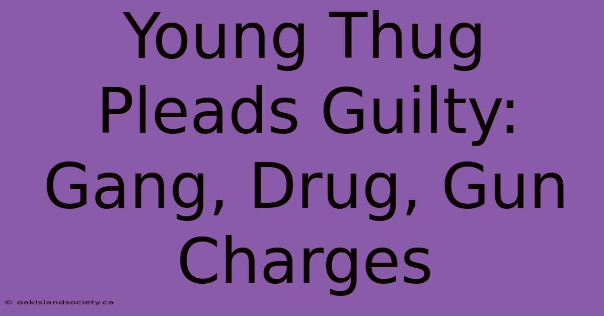 Young Thug Pleads Guilty: Gang, Drug, Gun Charges