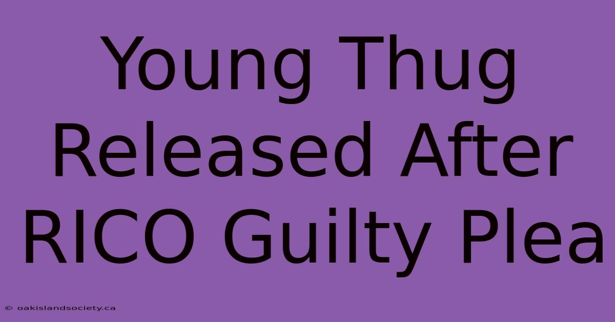 Young Thug Released After RICO Guilty Plea