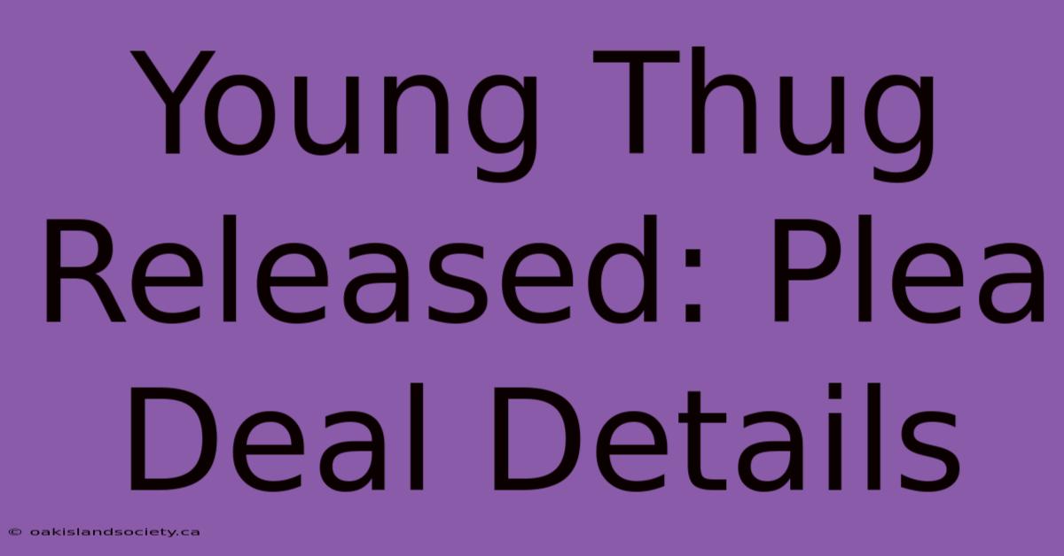 Young Thug Released: Plea Deal Details