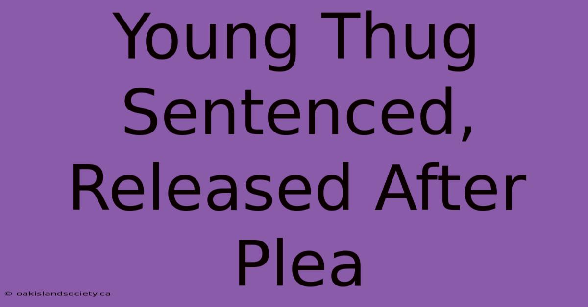 Young Thug Sentenced, Released After Plea