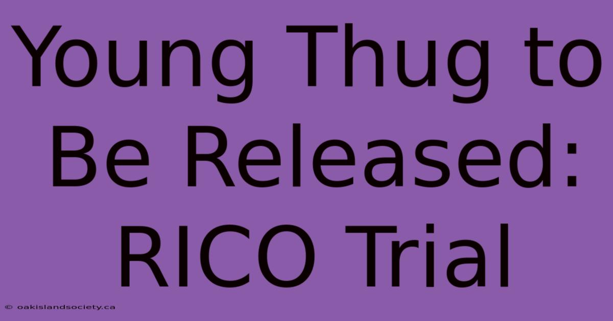 Young Thug To Be Released: RICO Trial