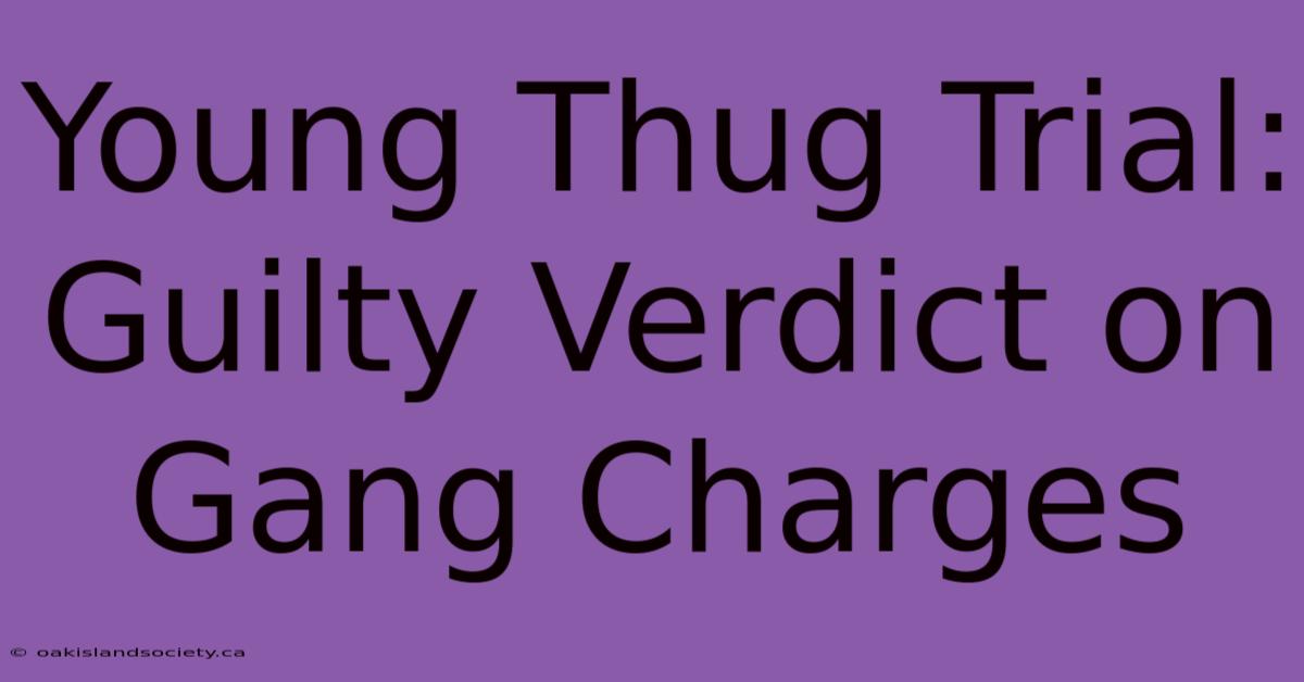 Young Thug Trial: Guilty Verdict On Gang Charges 