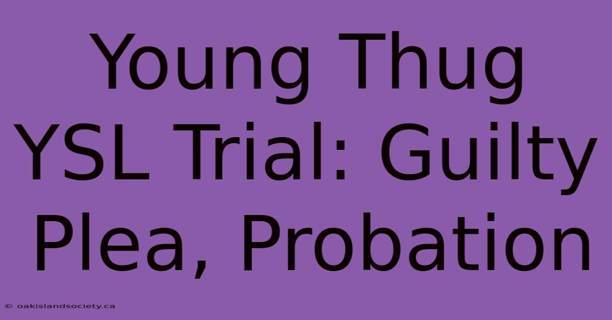 Young Thug YSL Trial: Guilty Plea, Probation