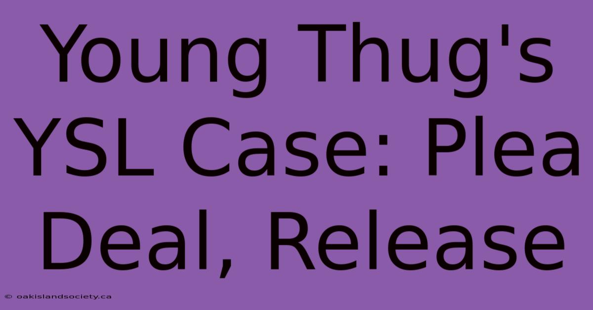 Young Thug's YSL Case: Plea Deal, Release