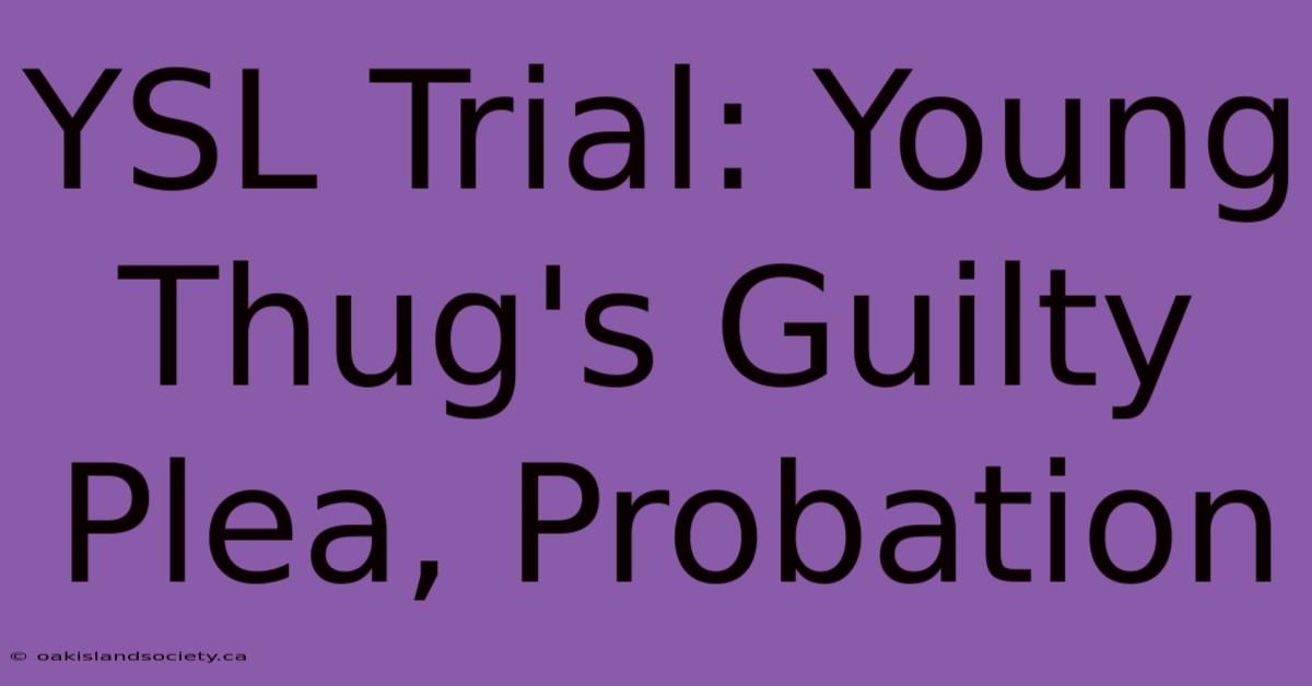 YSL Trial: Young Thug's Guilty Plea, Probation