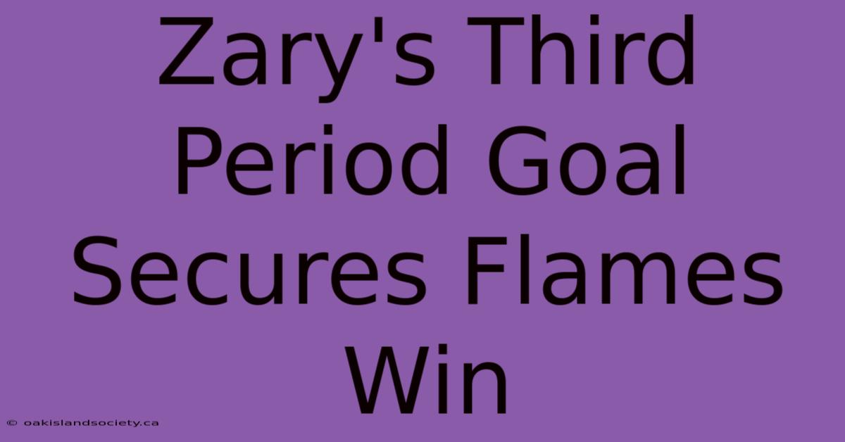 Zary's Third Period Goal Secures Flames Win